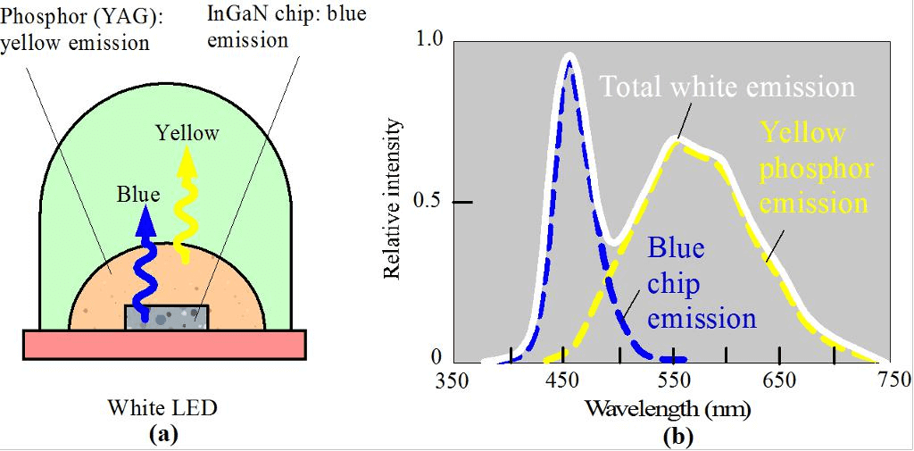 image-20230422173905863